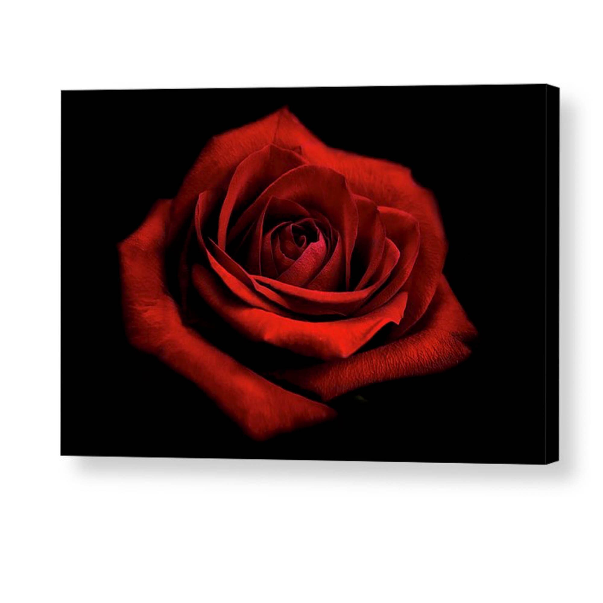 Dark Red Rose Floral Photo Wrap Wall Art Garden Photo Wall Etsy
