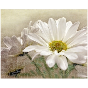 Daisy Gerbera Premium Jigsaw Puzzle, Flower Puzzle, Gift For Her, Garden Puzzle, 16x20 0r 20x30, Garden Lover Gift