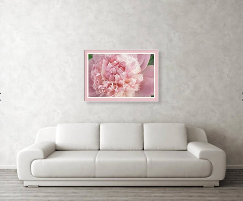 Pink Peony Wall Art Decor, Pink Peony Print, Floral Wall Art, Peony