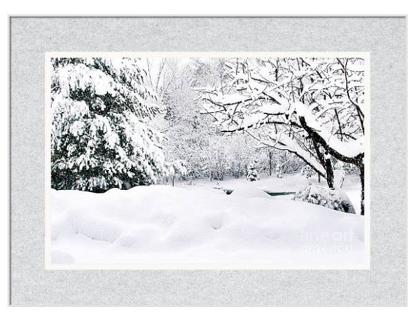 雪に覆われた木々、雪景色、雪の森のプリント、冬の雪景色、松とリンゴ