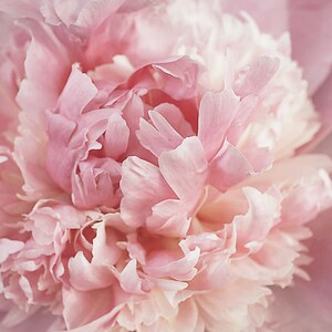Pink Peony Wall Art Decor, Pink Peony Print, Floral Wall Art, Peony Photo, Pink Peonies, Shabby Chic Home Decor, Bedroom Wall Art