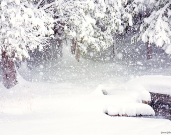 Photographie de neige, Impression d’hiver de conte de fées, Photographie d’hiver, Tempête de neige, Hiver enneigé, Photographie scénique, Paysage enneigé, Arbre enneigé