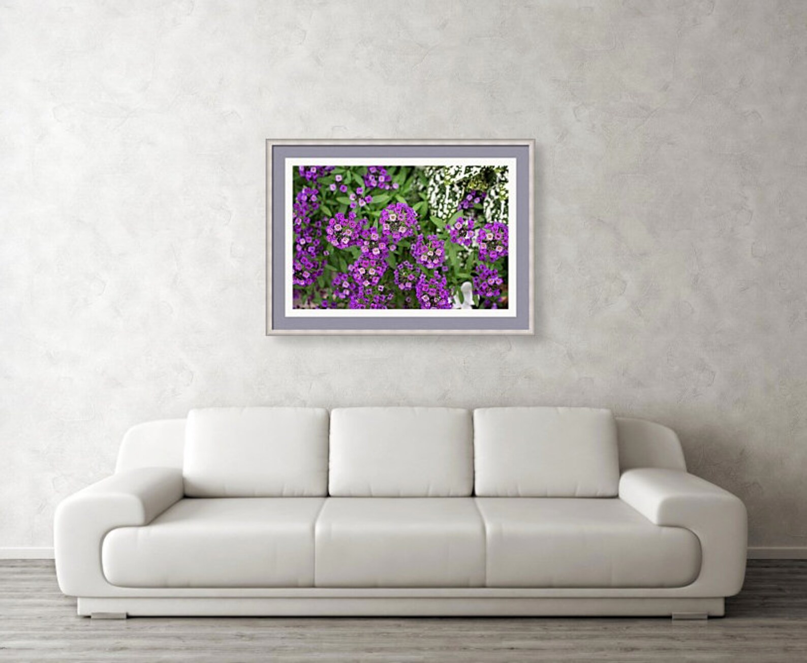 Purple Sweet Alyssum Print Floral Wall Art Purple Flower Etsy