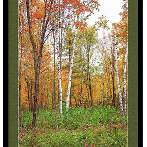 Autumn Forest Print, Autumn Forest Art, Woodland Wall Art, Autumn Leaves Photo, Fall Forest Scene, Fall Landscape Print, Fall Trees Print image 2