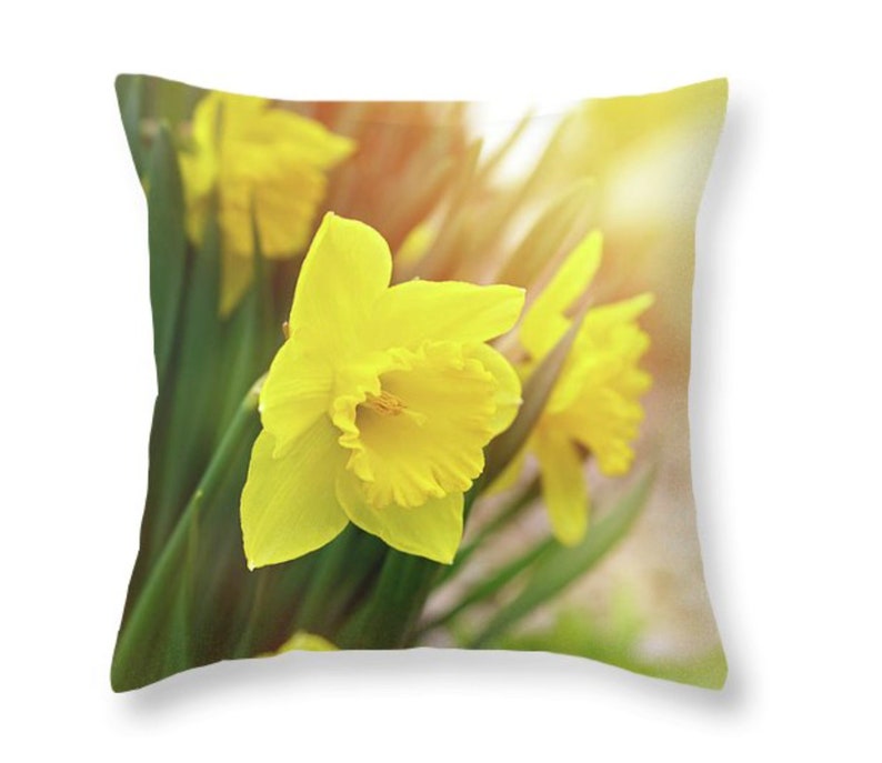 Yellow Daffodil Floral Throw Pillows, Single Bloom Flower Indoor Pillow, Home Decor Pillows, Pillows for Couch or Chairs, Decorative Pillows image 1