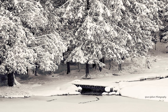 Snow Photograph Black And White Snow Scene Snowy Landscape Etsy Snow Photograph Black And White Snow Scene Snowy Landscape Etsy