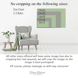 May include: A chart showing the different sizes available for prints. The chart shows the dimensions in inches, with the largest size being 24x36 inches and the smallest size being 8x12 inches. The text "No cropping on the following sizes" is at the top of the chart. The text "Size Chart 2:3 Ratio" is below the chart. The text "All other sizes offered will have some image loss due to cropping but rest assured, we will crop the image so the image is best portrayed! Of course, please message us with any concerns!" is below the chart. The text "Gwen Gibson Photography" is at the bottom of the chart.