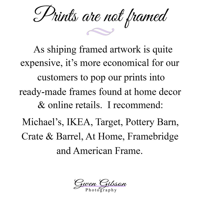 May include: Text on a white background that reads: "Prints are not framed. As shipping framed artwork is quite expensive, it's more economical for our customers to pop our prints into ready-made frames found at home decor & online retails. I recommend: Michael's, IKEA, Target, Pottery Barn, Crate & Barrel, At Home, Framebridge and American Frame. Gwen Gibson Photography."