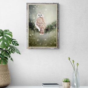 May include: A framed print of a white owl perched on a branch in a snowy forest. The owl has brown and white markings and is looking directly at the viewer. The background is a soft green and brown with falling snow.