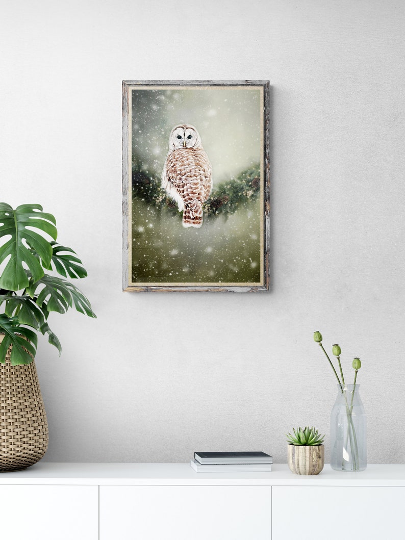 May include: A framed print of a white owl perched on a branch in a snowy forest. The owl has brown and white markings and is looking directly at the viewer. The background is a soft green and brown with falling snow.