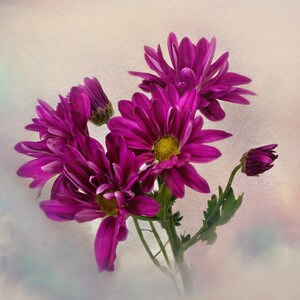 Paarse Daisy Floral Wall Art, Paarse Madeliefjes Decor, Macro Flower Print, Garden Room Decor, Mystical Floral Home Decor, Nursery Print