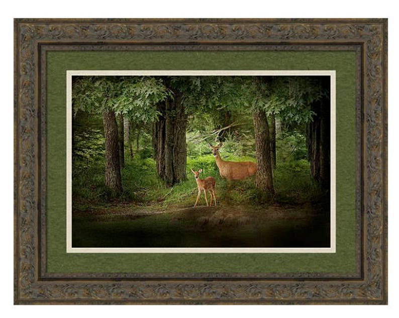 Deer Print, Wild Deer Art, Deer in the Wild, Wildlife Photo Card, Deer Photography, Enchanted Forest Deer, Wildlife Photograph image 2