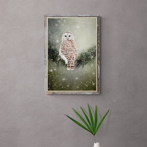 May include: A framed print of a barred owl perched on a branch in a snowy forest. The owl has white feathers with brown markings and large, dark eyes. The background is a soft green with falling snow.
