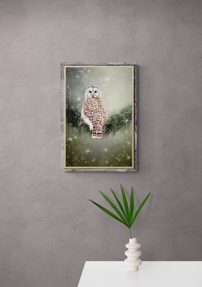 May include: A framed print of a barred owl perched on a branch in a snowy forest. The owl has white feathers with brown markings and large, dark eyes. The background is a soft green with falling snow.