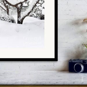 Snow Covered Apple Tree, Michigan Winter Print, Winter Photograph, Snow Scene Wall Art, Snow Covered Trees, Michigan Winter Snow Picture image 3