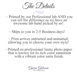 May include: Text overlay on a white background with the title "The Details" in a decorative font. The text describes the printing process and shipping details for a photo print. The text reads: "Printed by our Professional lab AND you can tell the difference as we have an awesome lab hand picked by us! Ships to you in 2-5 Business days! Print arrives unframed and unmatted, allowing you to choose your own style! Printed on professional lustre photo paper that is known for its rich color saturation with a vibrant color satin finish." The text is followed by the name "Gwen Gibson Photography" in a decorative font.