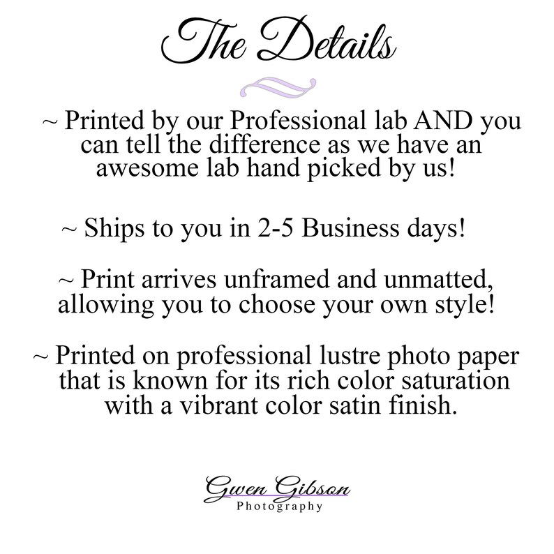 May include: Text overlay on a white background with the title "The Details" in a decorative font. The text describes the printing process and shipping details for a photo print. The text reads: "Printed by our Professional lab AND you can tell the difference as we have an awesome lab hand picked by us! Ships to you in 2-5 Business days! Print arrives unframed and unmatted, allowing you to choose your own style! Printed on professional lustre photo paper that is known for its rich color saturation with a vibrant color satin finish." The text is followed by the name "Gwen Gibson Photography" in a decorative font.