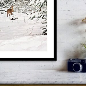 K&ouml;nnte beinhalten: Gerahmtes Foto einer winterlichen Waldszene. Ein Reh steht im Schnee, umgeben von schneebedeckten B&auml;umen. Das Foto wird auf einer wei&szlig;en Oberfl&auml;che mit einer Kamera, einer Topfpflanze und Trockenblumen pr&auml;sentiert.