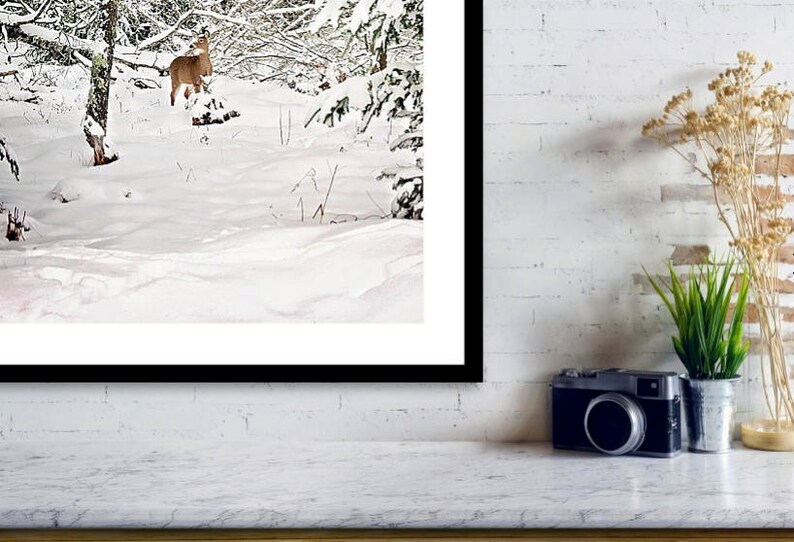 K&ouml;nnte beinhalten: Gerahmtes Foto einer winterlichen Waldszene. Ein Reh steht im Schnee, umgeben von schneebedeckten B&auml;umen. Das Foto wird auf einer wei&szlig;en Oberfl&auml;che mit einer Kamera, einer Topfpflanze und Trockenblumen pr&auml;sentiert.