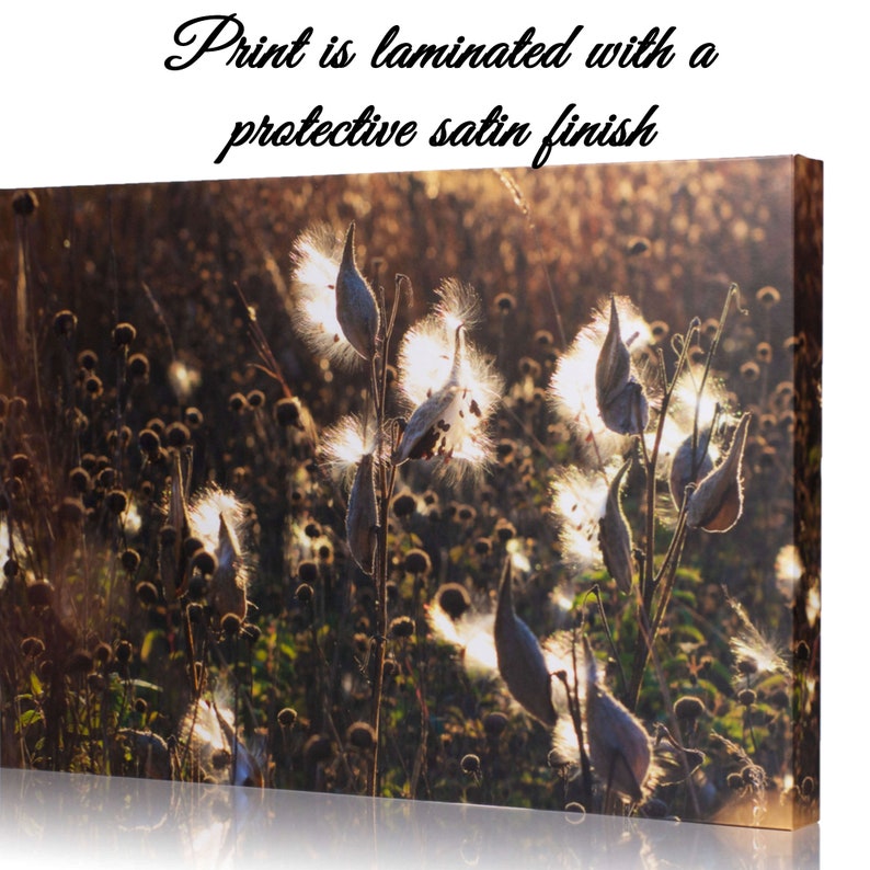 Enchanted Forest Wrap Wall Art Woodland Photo Wall Decor Etsy