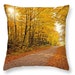 see more listings in the Throw Pillows section