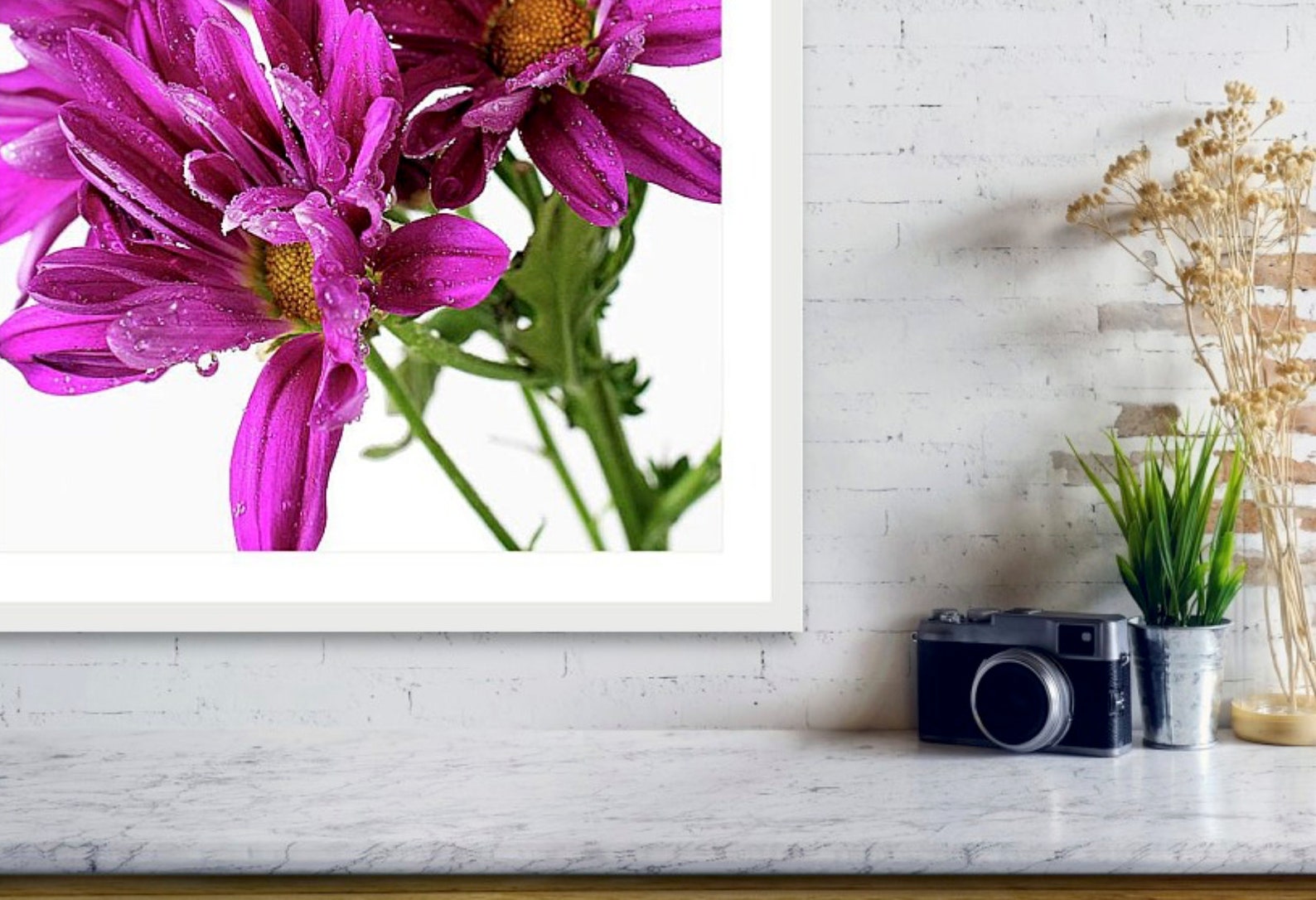 Purple Daisy Floral Wall Art Purple Daisies Decor Macro - Etsy