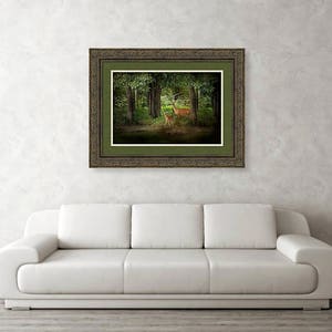 Deer Print, Wild Deer Art, Deer in the Wild, Wildlife Photo Card, Deer Photography, Enchanted Forest Deer, Wildlife Photograph image 4