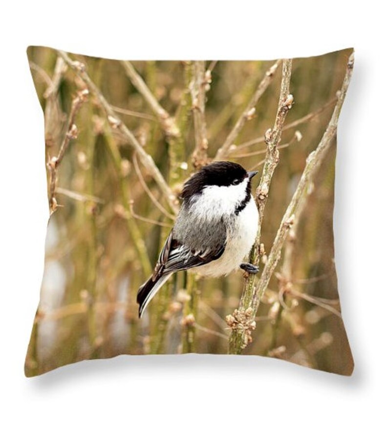 Black Capped Chickadee Throw Pillow, Chickadee Bird Decorative Pillows