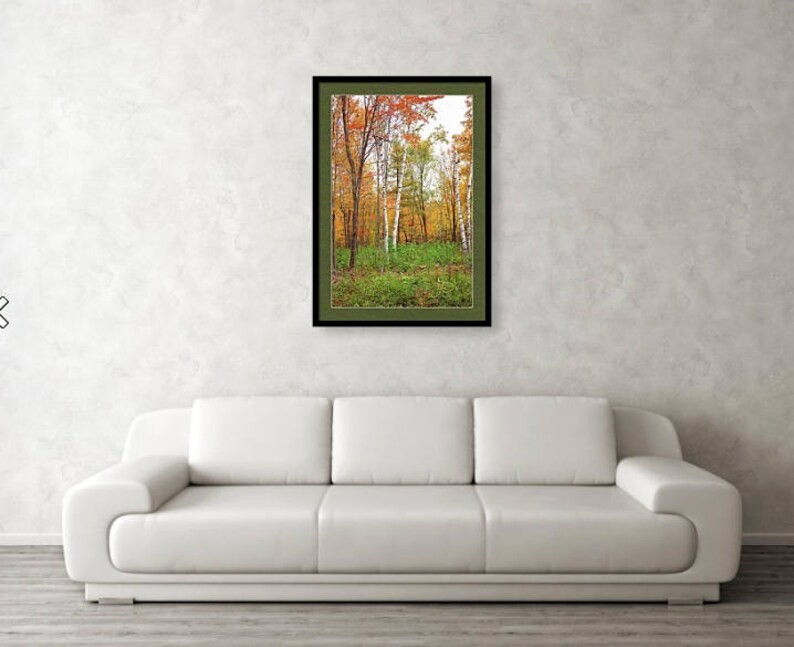 Autumn Forest Print, Autumn Forest Art, Woodland Wall Art, Autumn Leaves Photo, Fall Forest Scene, Fall Landscape Print, Fall Trees Print image 4