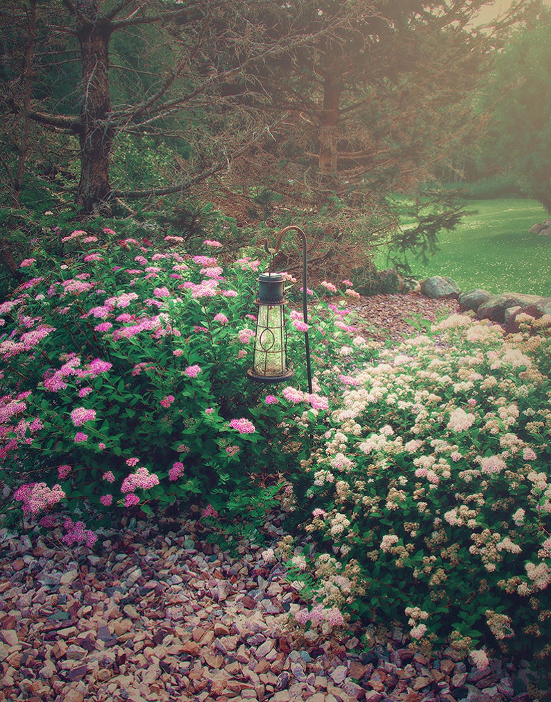 Pastel Spirea Wall Art Print, Floral Photography, Purple and Pink ...