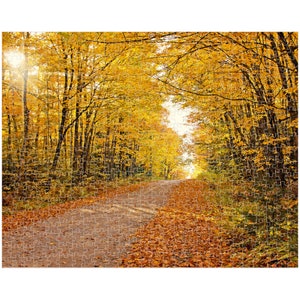 Michigan Upper Peninsula Autumn Road Premium Puzzle, Trees In Fall Jigsaw Puzzle, Country Road Puzzle, Gift For Her, Unique Gift