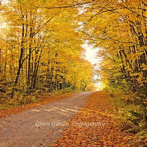 Michigan Fall Colors, Autumn Forest Print, Fall Scene, Upper Peninsula, Autumn Picture, Fall Picture, Large Autumn Art, Fall Foliage