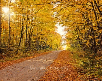 Michigan Fall Colors, Autumn Forest Print, Fall Scene, Upper Peninsula, Autumn Picture, Fall Picture, Large Autumn Art, Fall Foliage