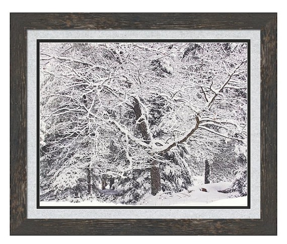 Winter Woodland Snow Canvas Picture Print Wall Art B627 