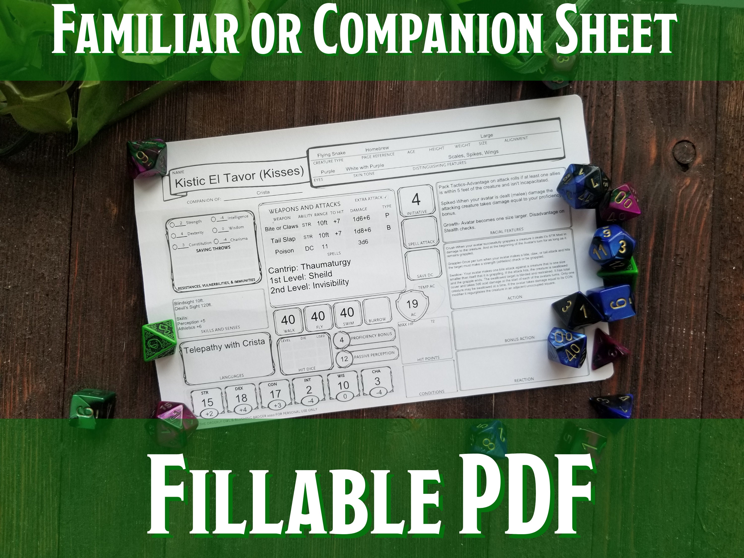 D D Familiar Animal Companion Character Sheet Printable Etsy New Zealand