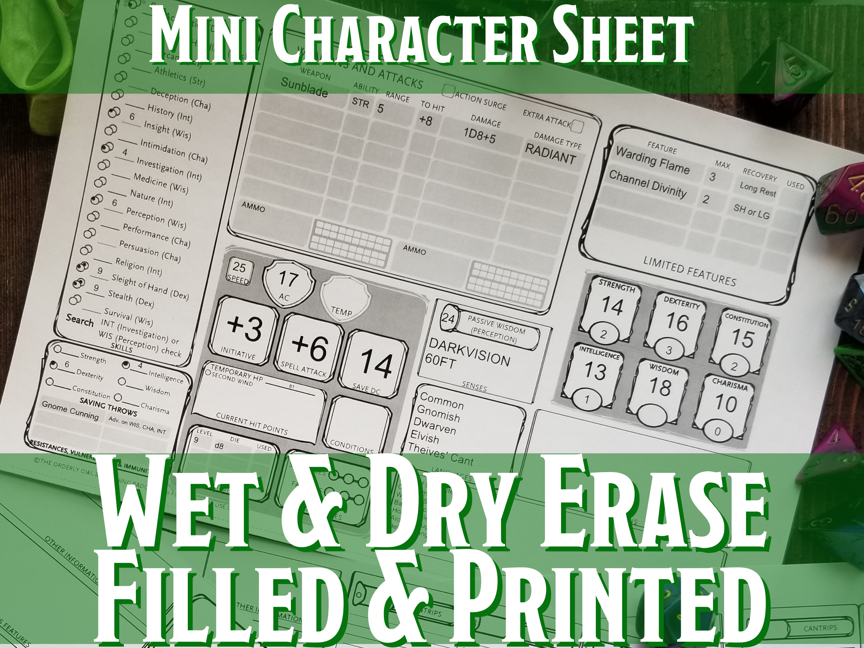 D&D Mini Character Sheet Filled | Laminated Wet Erase/Dry Erase | Dungeons and Dragons 5e