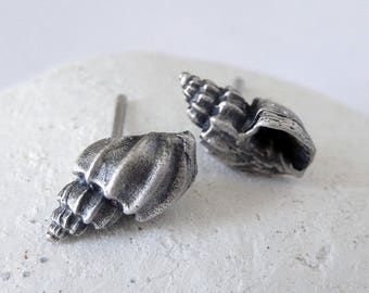 Silver Shell Stud Earrings, Seashells Studs, Spiral Shell, Small Shell Earrings, Sterling Silver 925, Organic Jewelry, Mismatched Earrings