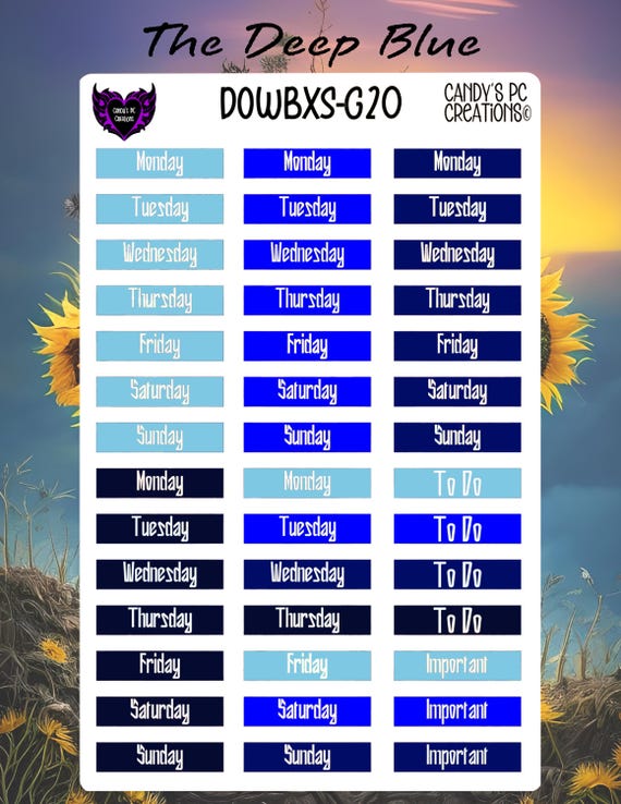 Days of the Week Box Small | Colored | Journal Sticker | Cover Up | Permanent | Bullet Journal | Solid | To Do | Important | Label | Day