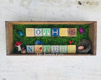 Repurposed Recycled Mother Nature Mixed Media Assemblage Shadowbox