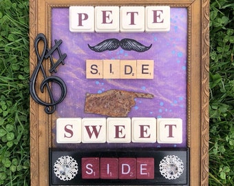 Goose The Band Pete Side Sweet Side Recycled Mixed Media Assemblage Art