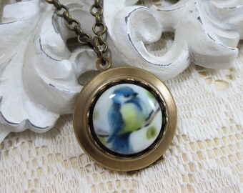 Bird Locket Blue Bird Locket Necklace Pendant Bluebird Photo Cameo Locket Jewelry Shabby Chic Nature Woodland Jewelry Gift