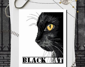 Le Chat Noir (The Black Cat) by Isabelle Haccourt Vautier Collection Broide du Noir. Printed cross stitch pattern