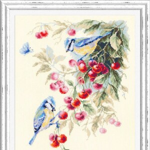 May include: Two bluebirds perched on a branch with red cherries. The birds are blue, yellow, and white. The cherries are red and pink. There are two butterflies in the image, one blue and one white.