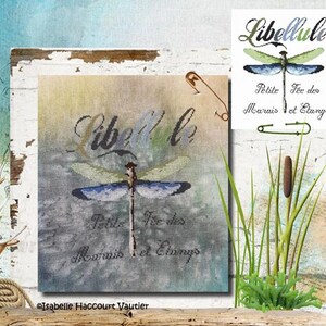 Pode incluir: Design de ponto cruz com uma libélula e a palavra "Libellule" em escrita cursiva. O design inclui o texto "Petite Fée des Marais et Étangs" e é acentuado com tons de verde e azul. Um alfinete de segurança está preso.