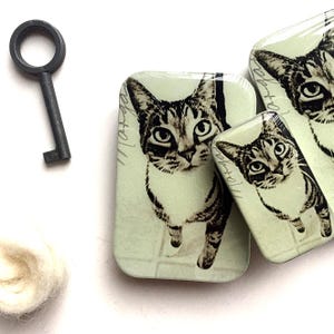 Cat Notions Large Tin by Firefly Notes Knitting & Sewing Storage Tin with Resin Finish and Magnet