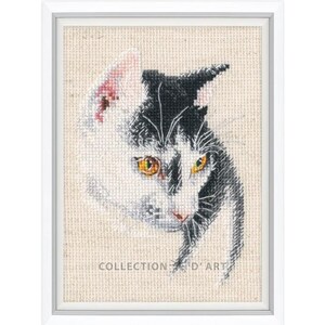 Puede incluir: Un gato blanco y negro con ojos amarillos mirando directamente al espectador. El gato está enmarcado en un marco blanco con el texto "COLLECTION D'ART" en la parte inferior.