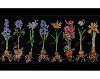 Bulbs by Thea Gouverneur Counted Cross Stitch