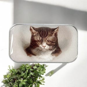 Cat Notions Small Tin by Firefly Notes Vintage-Inspired Resin Slider Tin for Stitch Markers & Small Treasures, Handmade