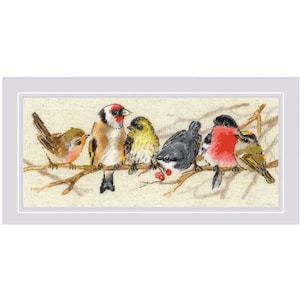 May include: A cross-stitch picture showing six birds of different colours perched on a brown branch. The birds include red, yellow, grey, and brown. The artwork is framed with a white border.