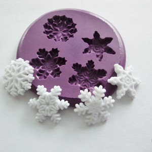 Snowflake Winter - Silicone Mold –